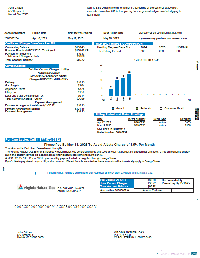 download download USA Virginia Natural Gas utility bill template in Word and PDF formats PDF template PDF template